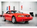 Thumbnail Photo 15 for 2000 Ford Mustang